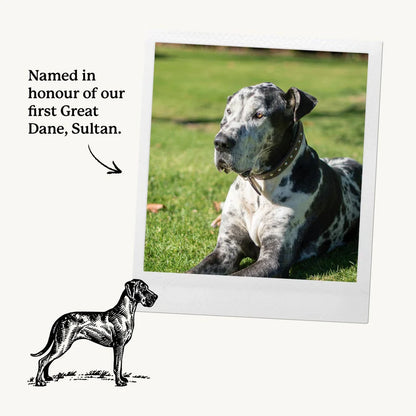 Terbodore | Great Dane Coffee